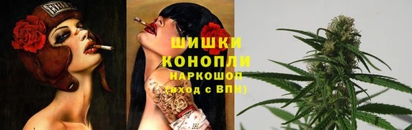 прущие крисы Каменка