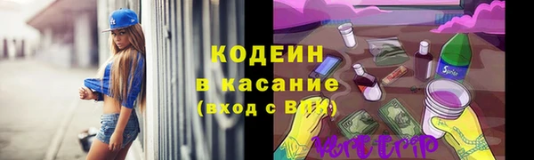 прущие крисы Каменка