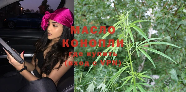 прущие крисы Каменка