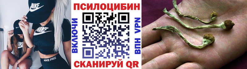 Купить  Гай  Галлюциногенные грибы Magic Shrooms 
