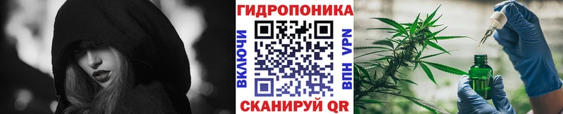 Бошки марихуана ГИДРОПОН  Купить закладки  Гай 